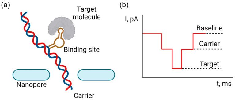 https://cdn.ncbi.nlm.nih.gov/pmc/blobs/b6c8/11674911/64fea9db74eb/biosensors-14-00627-g008.jpg