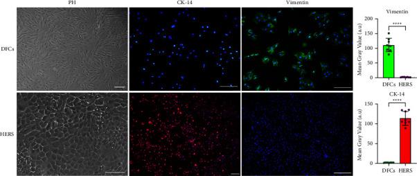 https://cdn.ncbi.nlm.nih.gov/pmc/blobs/b6c9/11919150/434216c253e9/JTERM2023-1277760.003.jpg