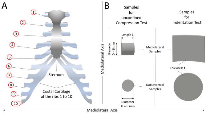 https://cdn.ncbi.nlm.nih.gov/pmc/blobs/b6c9/8245550/dcf1df52f0f2/41598_2021_93176_Fig1_HTML.jpg