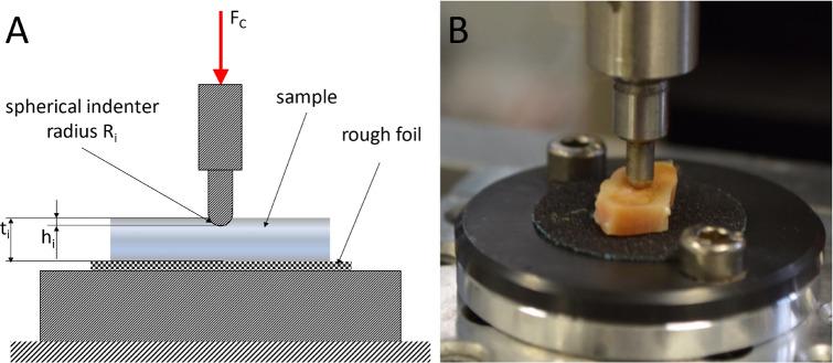 https://cdn.ncbi.nlm.nih.gov/pmc/blobs/b6c9/8245550/f3765ad82698/41598_2021_93176_Fig3_HTML.jpg