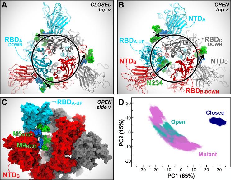 https://cdn.ncbi.nlm.nih.gov/pmc/blobs/b6cb/7596859/6ee4735025ab/oc0c01056_0002.jpg
