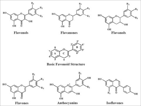 https://cdn.ncbi.nlm.nih.gov/pmc/blobs/b6cc/2835915/116aee2d5e1c/omcl0205_0270_fig003.jpg