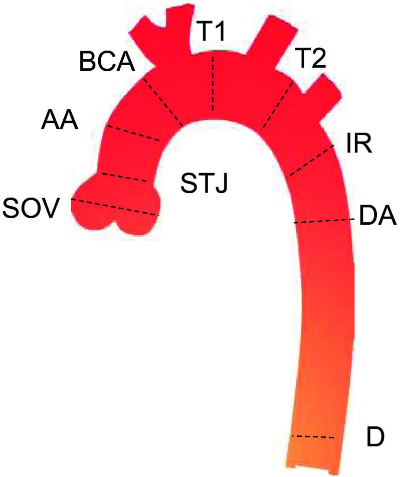 https://cdn.ncbi.nlm.nih.gov/pmc/blobs/b6cd/11135202/005aeee4fe0f/JMI-011-034503-g001.jpg