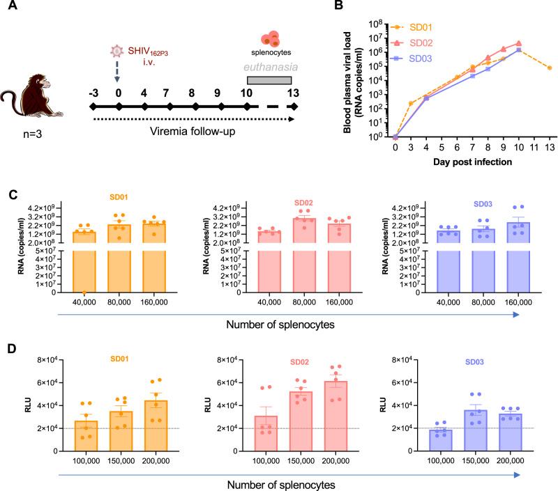 https://cdn.ncbi.nlm.nih.gov/pmc/blobs/b6ce/10558491/5a98bd44b1eb/41467_2023_41966_Fig1_HTML.jpg