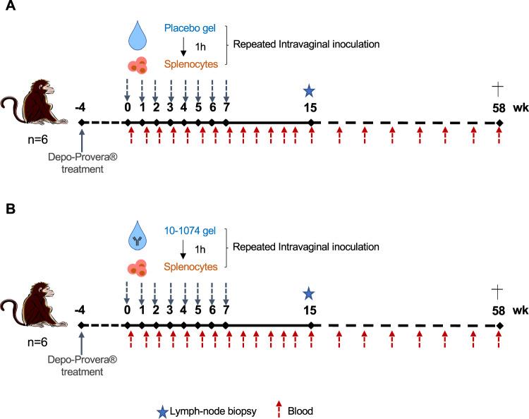 https://cdn.ncbi.nlm.nih.gov/pmc/blobs/b6ce/10558491/81d2b0af60a8/41467_2023_41966_Fig3_HTML.jpg