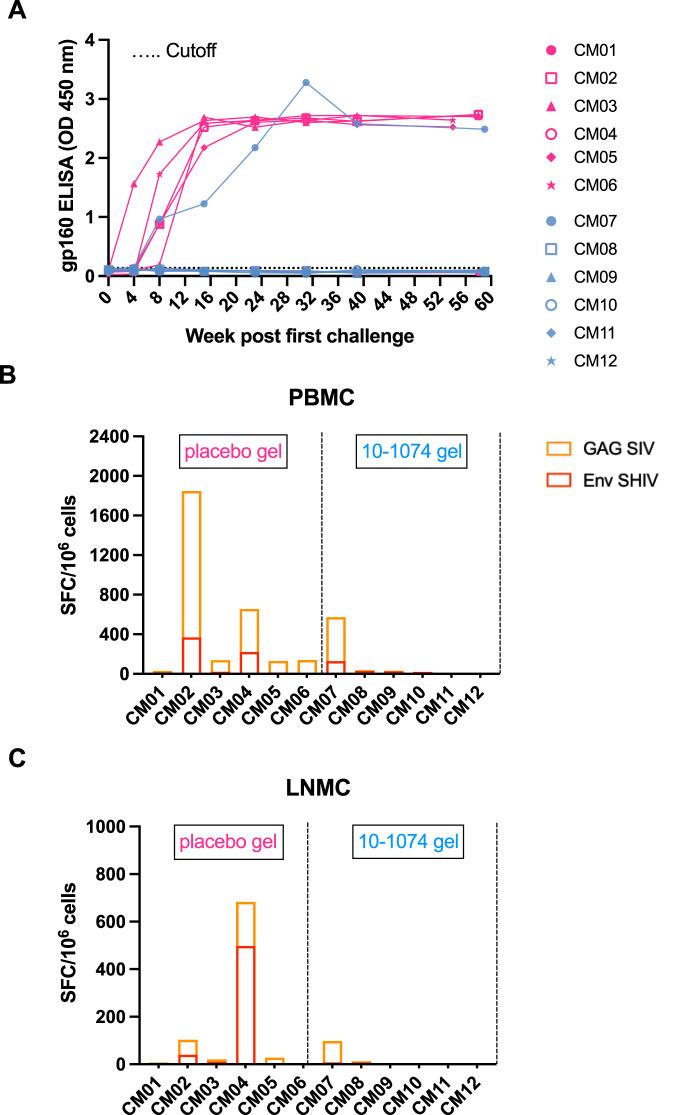 https://cdn.ncbi.nlm.nih.gov/pmc/blobs/b6ce/10558491/9253aec77e5c/41467_2023_41966_Fig5_HTML.jpg