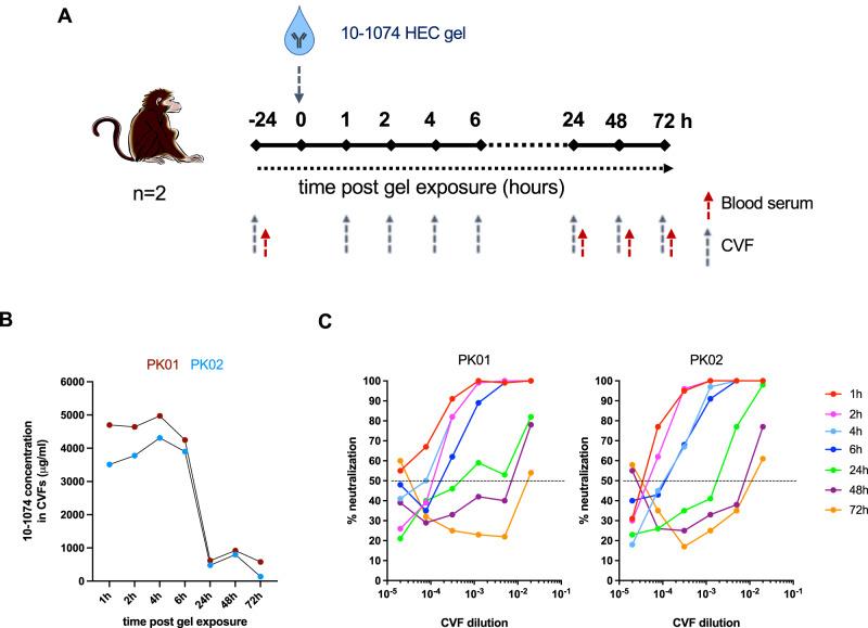 https://cdn.ncbi.nlm.nih.gov/pmc/blobs/b6ce/10558491/c418a332cf4b/41467_2023_41966_Fig2_HTML.jpg