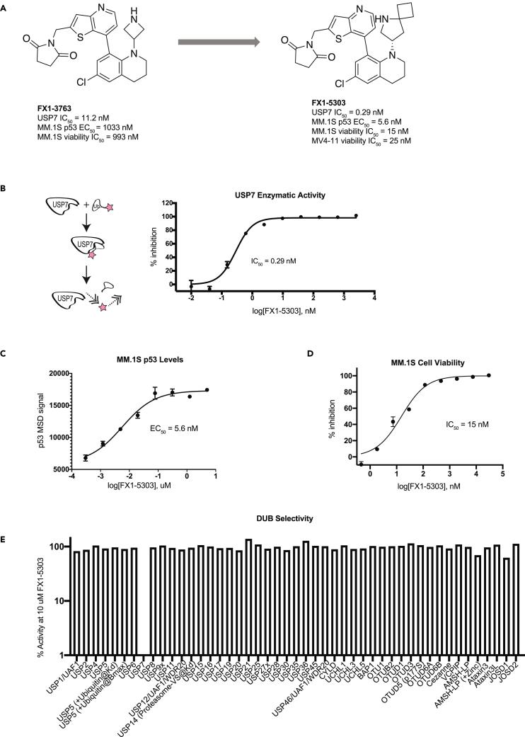 https://cdn.ncbi.nlm.nih.gov/pmc/blobs/b6cf/11059122/8db264503fa4/gr2.jpg
