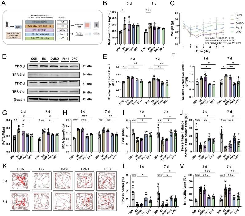 https://cdn.ncbi.nlm.nih.gov/pmc/blobs/b6d2/12403447/42875f2f2e79/12967_2025_6950_Fig1_HTML.jpg