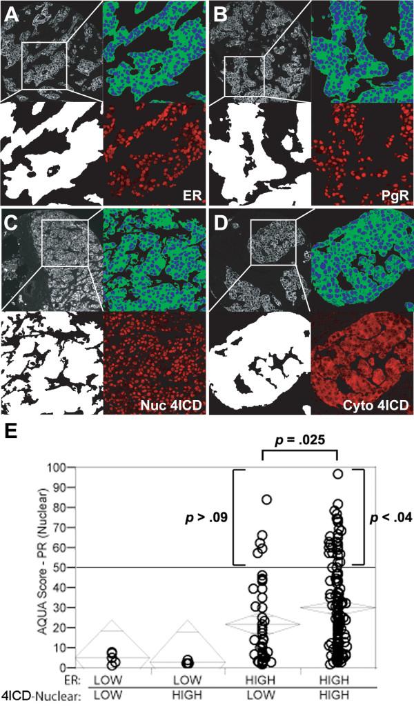 https://cdn.ncbi.nlm.nih.gov/pmc/blobs/b6d7/2894764/49f18be02fe8/1476-4598-9-150-4.jpg