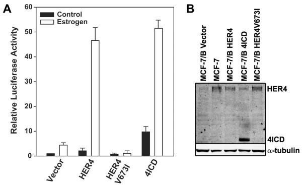 https://cdn.ncbi.nlm.nih.gov/pmc/blobs/b6d7/2894764/a4617848367c/1476-4598-9-150-1.jpg