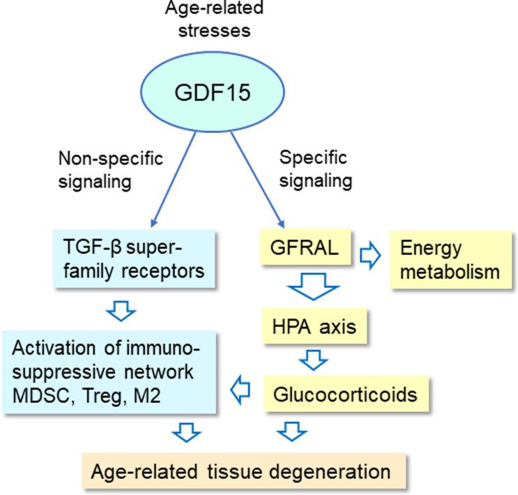 https://cdn.ncbi.nlm.nih.gov/pmc/blobs/b6db/11624233/8fab10831e58/10522_2024_10164_Fig2_HTML.jpg