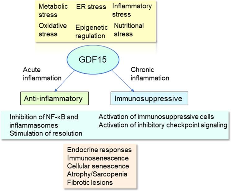 https://cdn.ncbi.nlm.nih.gov/pmc/blobs/b6db/11624233/b8a1d81fde68/10522_2024_10164_Fig1_HTML.jpg