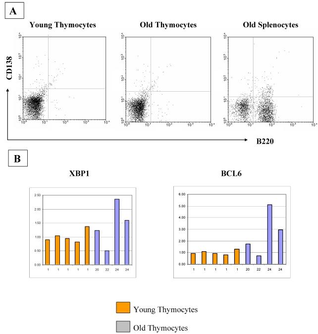 https://cdn.ncbi.nlm.nih.gov/pmc/blobs/b6db/2640475/5c74b2564860/ijmsv06p0051g06.jpg