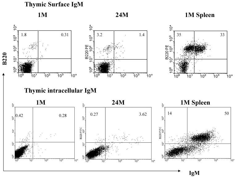 https://cdn.ncbi.nlm.nih.gov/pmc/blobs/b6db/2640475/97a47a920a88/ijmsv06p0051g04.jpg