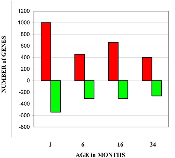 https://cdn.ncbi.nlm.nih.gov/pmc/blobs/b6db/2640475/a4457a762c1e/ijmsv06p0051g01.jpg