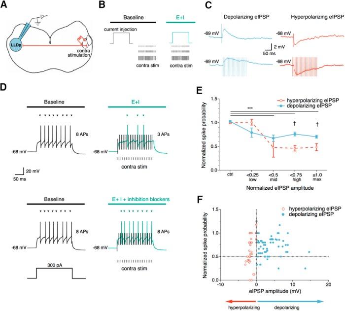 https://cdn.ncbi.nlm.nih.gov/pmc/blobs/b6dd/5168645/208fe283ba55/enu0061621950005.jpg