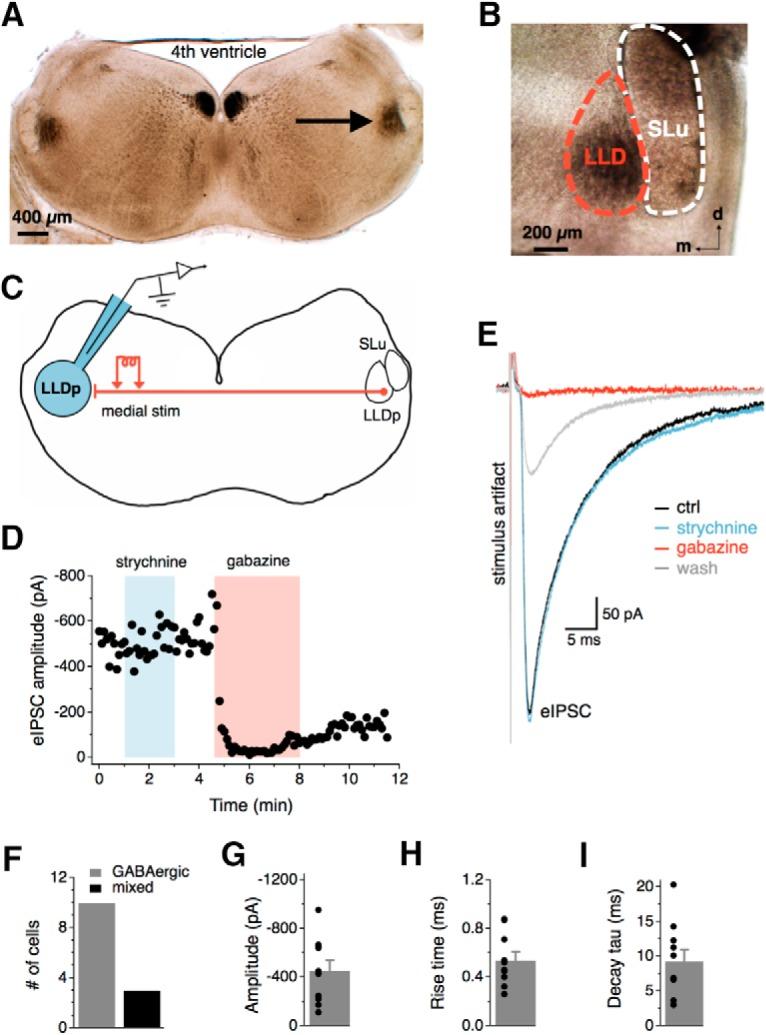 https://cdn.ncbi.nlm.nih.gov/pmc/blobs/b6dd/5168645/3a99d1fb89ca/enu0061621950001.jpg