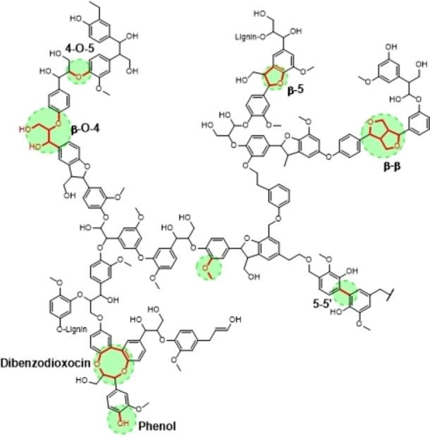https://cdn.ncbi.nlm.nih.gov/pmc/blobs/b6df/11789975/81375ca265aa/CSSC-18-e202400955-g003.jpg