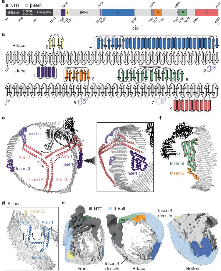 https://cdn.ncbi.nlm.nih.gov/pmc/blobs/b6e0/11839476/9afc7c843db1/41586_2024_8467_Fig3_HTML.jpg