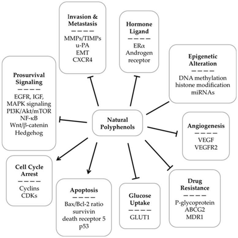 https://cdn.ncbi.nlm.nih.gov/pmc/blobs/b6e0/4997428/be53efc3c528/nutrients-08-00515-g011.jpg