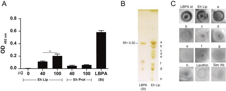 https://cdn.ncbi.nlm.nih.gov/pmc/blobs/b6e0/5600446/c63483874353/gr1.jpg