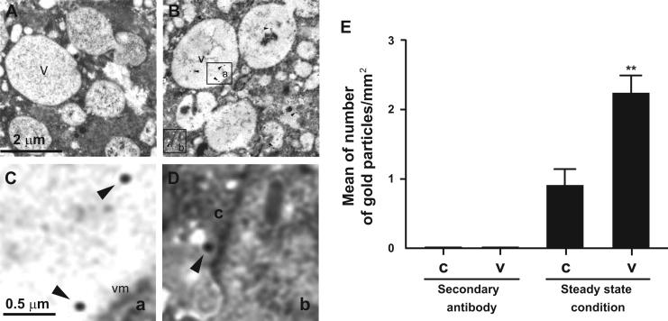 https://cdn.ncbi.nlm.nih.gov/pmc/blobs/b6e0/5600446/e6a8d75bca2b/gr3.jpg