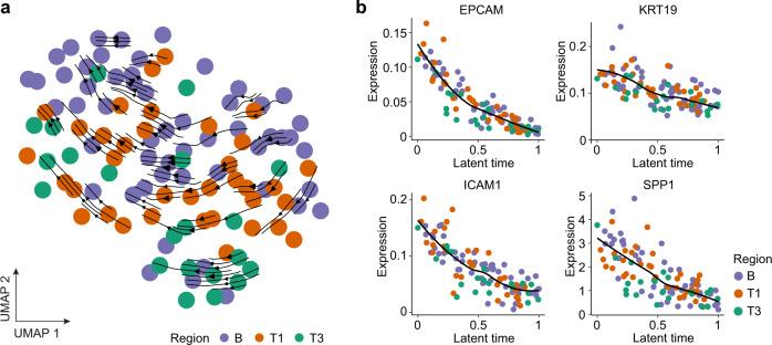 https://cdn.ncbi.nlm.nih.gov/pmc/blobs/b6e1/9729309/9c9fb25f0262/41467_2022_35291_Fig2_HTML.jpg