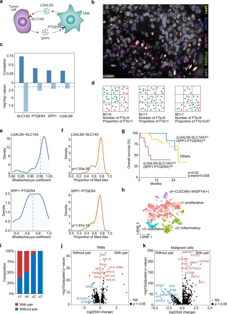 https://cdn.ncbi.nlm.nih.gov/pmc/blobs/b6e1/9729309/aa5b7fc4d783/41467_2022_35291_Fig7_HTML.jpg
