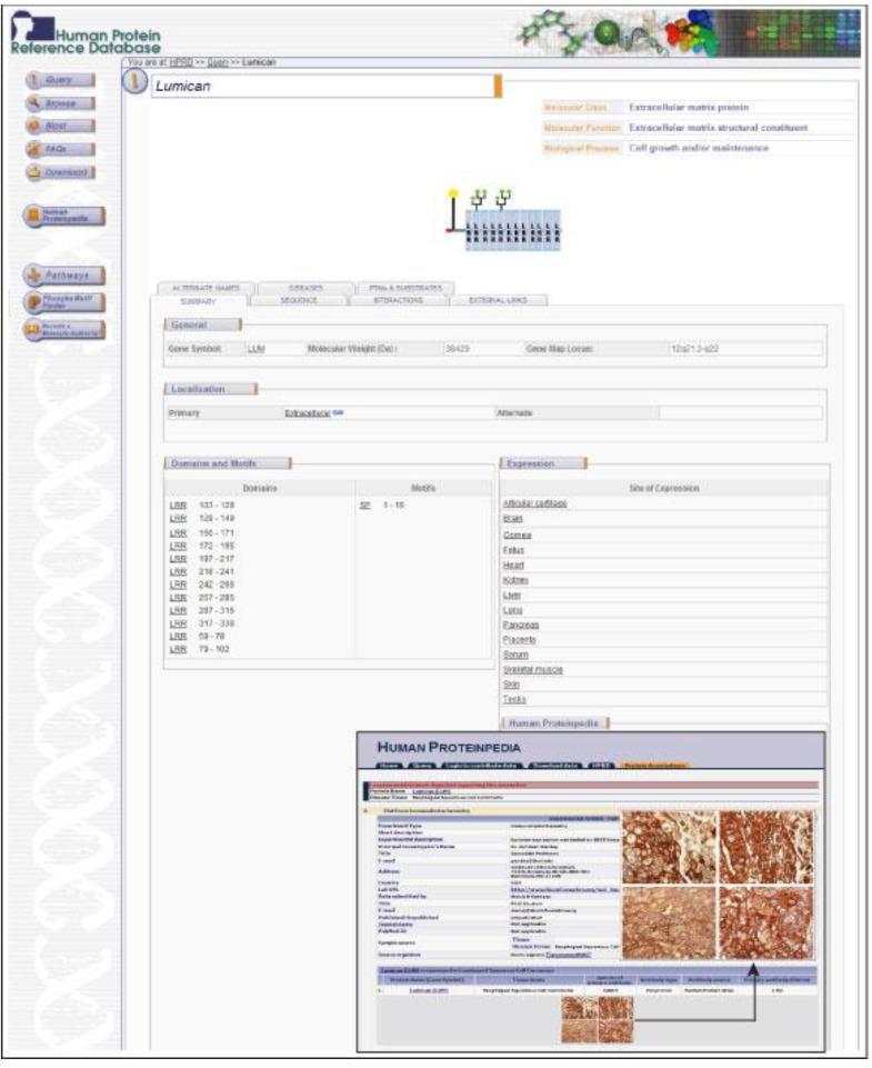 https://cdn.ncbi.nlm.nih.gov/pmc/blobs/b6e3/3827595/85a6a19f91f5/cancers-02-00133-g004.jpg