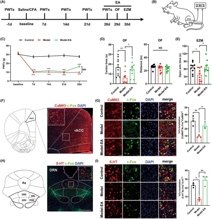 https://cdn.ncbi.nlm.nih.gov/pmc/blobs/b6e4/11017463/112074fb9f3c/CNS-30-e14520-g004.jpg