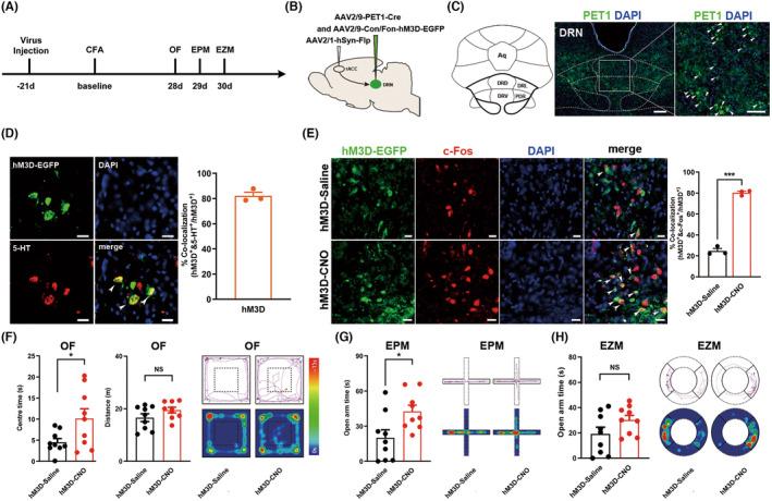 https://cdn.ncbi.nlm.nih.gov/pmc/blobs/b6e4/11017463/7824c6395b2e/CNS-30-e14520-g002.jpg
