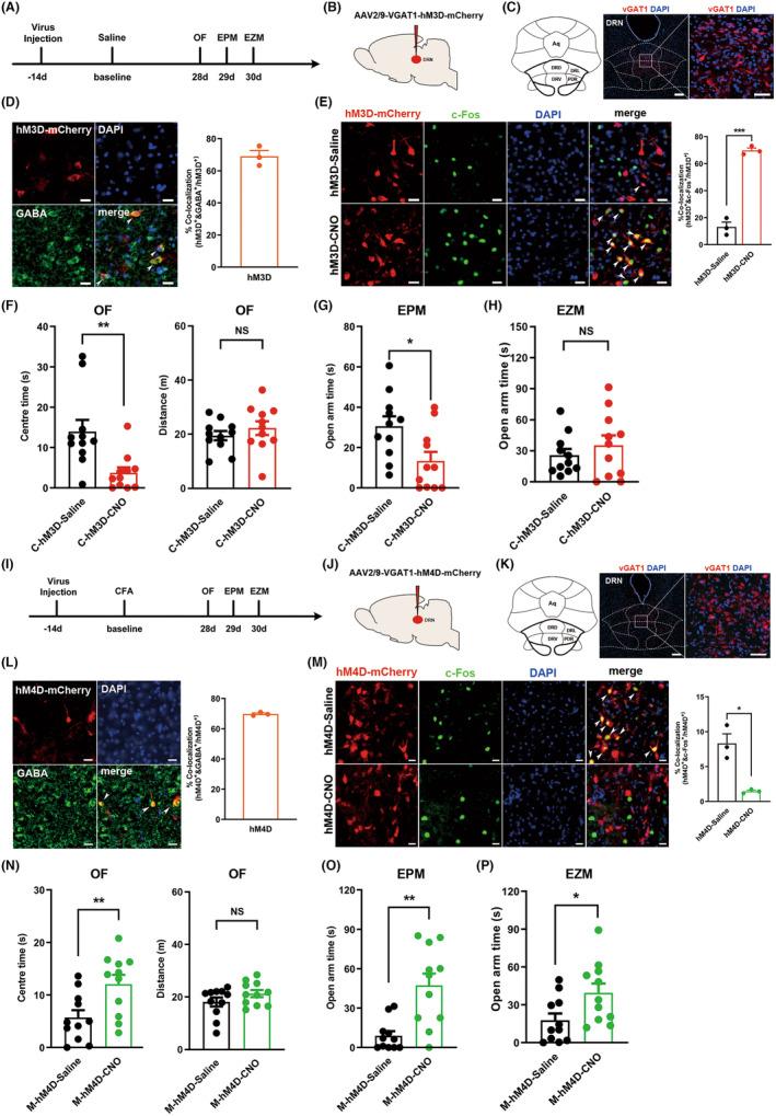 https://cdn.ncbi.nlm.nih.gov/pmc/blobs/b6e4/11017463/b691b7177ee0/CNS-30-e14520-g005.jpg