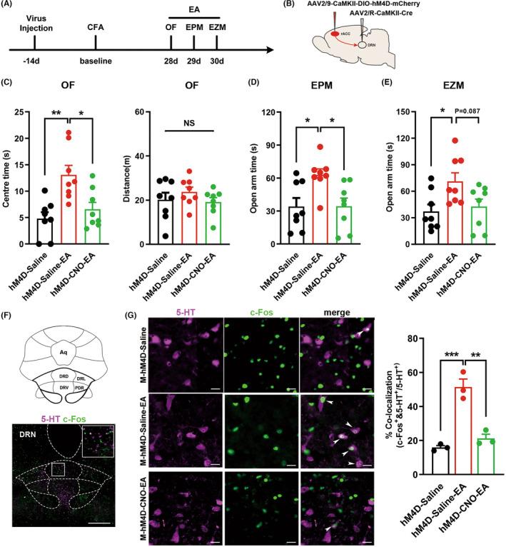 https://cdn.ncbi.nlm.nih.gov/pmc/blobs/b6e4/11017463/bda386c11bdd/CNS-30-e14520-g003.jpg