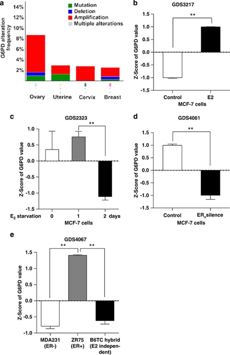 https://cdn.ncbi.nlm.nih.gov/pmc/blobs/b6e4/4047866/b1c1c3f81f1e/cddis2014204f5.jpg