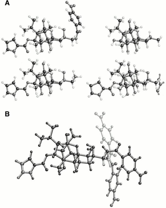 https://cdn.ncbi.nlm.nih.gov/pmc/blobs/b6e7/2233661/6ca95ef8a531/JGP8306.f1.jpg