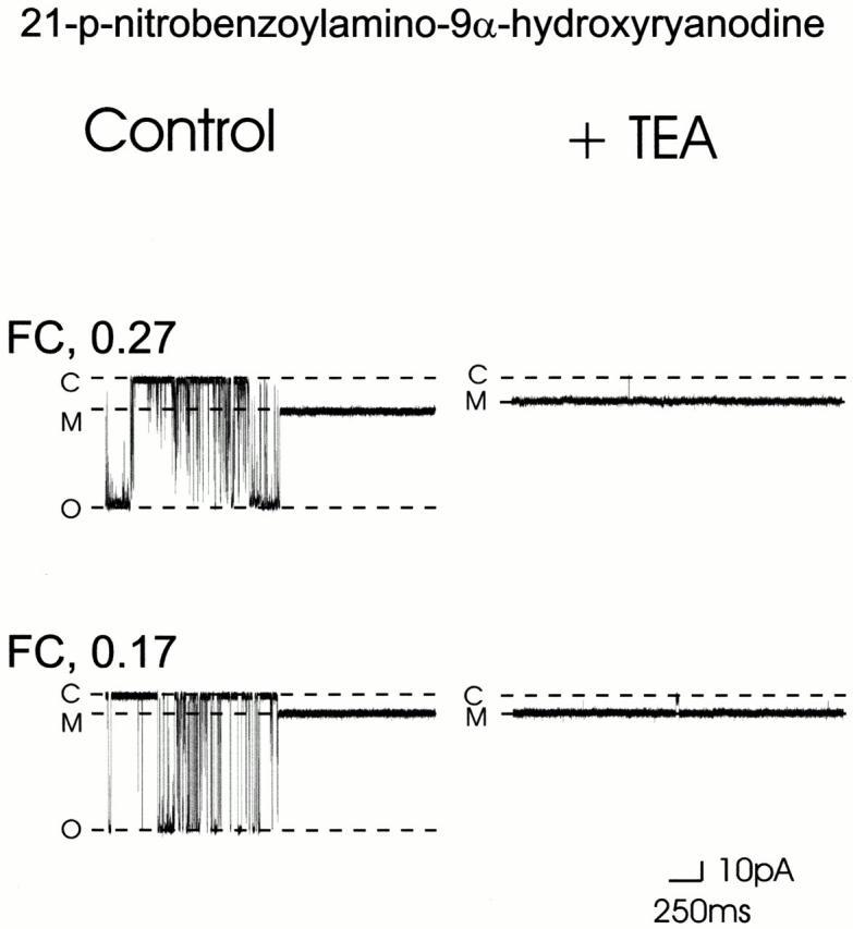 https://cdn.ncbi.nlm.nih.gov/pmc/blobs/b6e7/2233661/f7f8896e17fa/JGP8306.f6.jpg