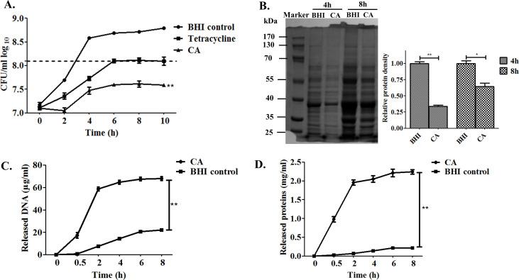 https://cdn.ncbi.nlm.nih.gov/pmc/blobs/b6ea/11960091/ac9de001018a/spectrum.02561-24.f002.jpg