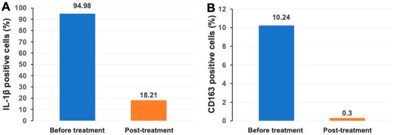https://cdn.ncbi.nlm.nih.gov/pmc/blobs/b6ea/12346882/a71c0db80162/ijms-26-07292-g001.jpg