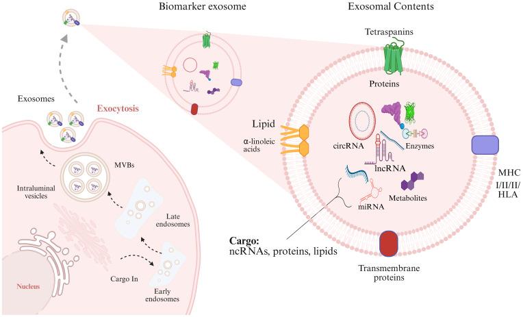 https://cdn.ncbi.nlm.nih.gov/pmc/blobs/b6ed/12283324/44d17b31f14c/fonc-15-1615433-g001.jpg
