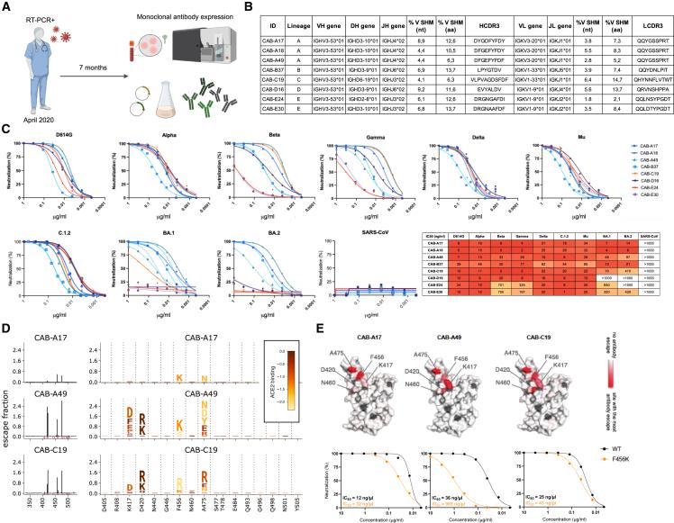 https://cdn.ncbi.nlm.nih.gov/pmc/blobs/b6ef/11228396/1b01454f8c80/gr1.jpg