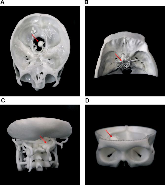https://cdn.ncbi.nlm.nih.gov/pmc/blobs/b6f0/11558823/6ba8aa883ba8/12912_2024_2482_Fig1_HTML.jpg