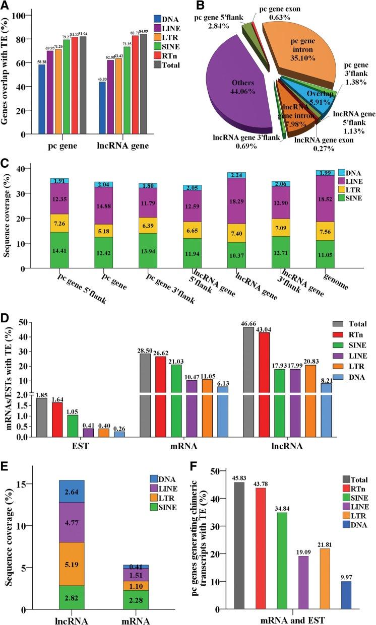 https://cdn.ncbi.nlm.nih.gov/pmc/blobs/b6f0/6501411/829c72109726/13100_2019_161_Fig7_HTML.jpg
