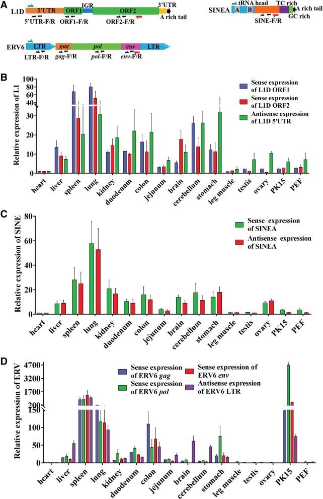 https://cdn.ncbi.nlm.nih.gov/pmc/blobs/b6f0/6501411/be9e422cf2c1/13100_2019_161_Fig6_HTML.jpg