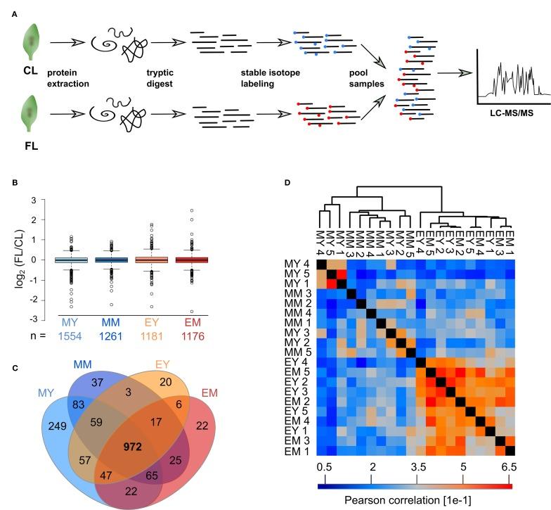 https://cdn.ncbi.nlm.nih.gov/pmc/blobs/b6f1/7066320/85d3ca61ed93/fgene-11-00154-g002.jpg