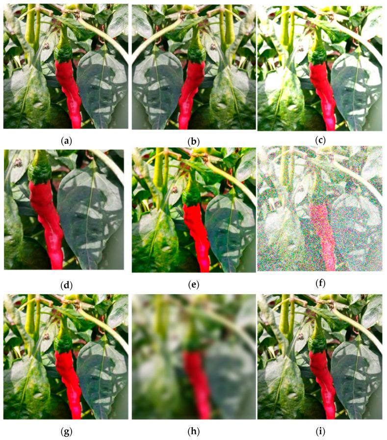 https://cdn.ncbi.nlm.nih.gov/pmc/blobs/b6f2/11397433/5ce56585b2a0/plants-13-02402-g009.jpg