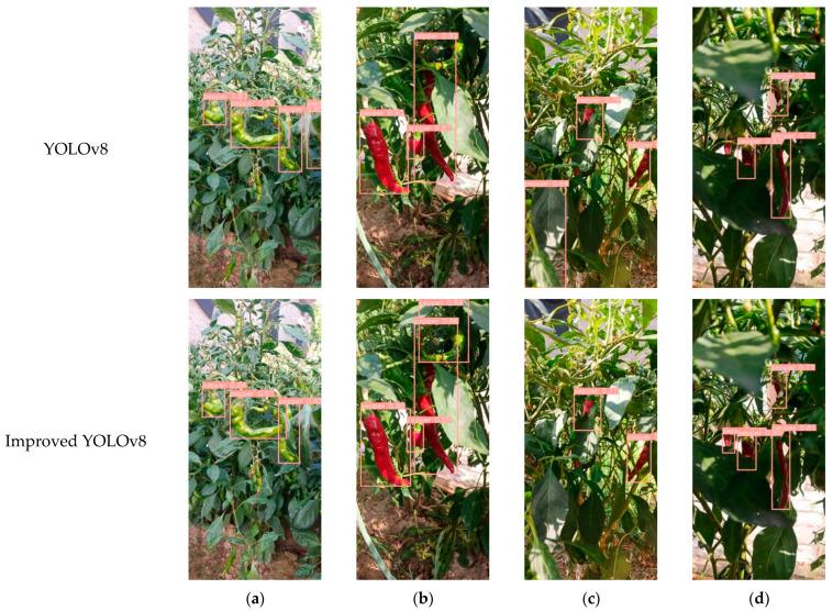 https://cdn.ncbi.nlm.nih.gov/pmc/blobs/b6f2/11397433/73edc6ea8b94/plants-13-02402-g005.jpg