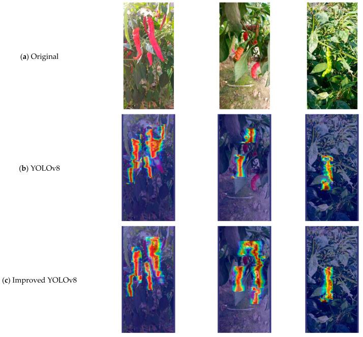https://cdn.ncbi.nlm.nih.gov/pmc/blobs/b6f2/11397433/a43fb2f0acb5/plants-13-02402-g004.jpg