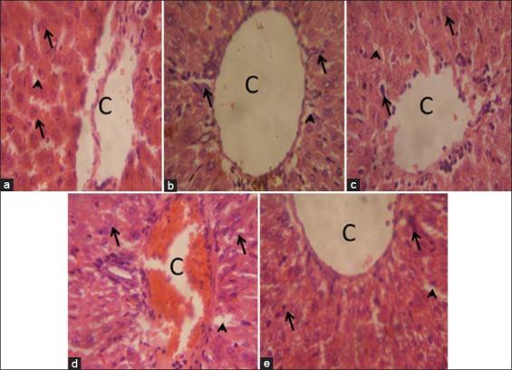 https://cdn.ncbi.nlm.nih.gov/pmc/blobs/b6f4/4566782/04604d37a393/JIE-4-102-g007.jpg