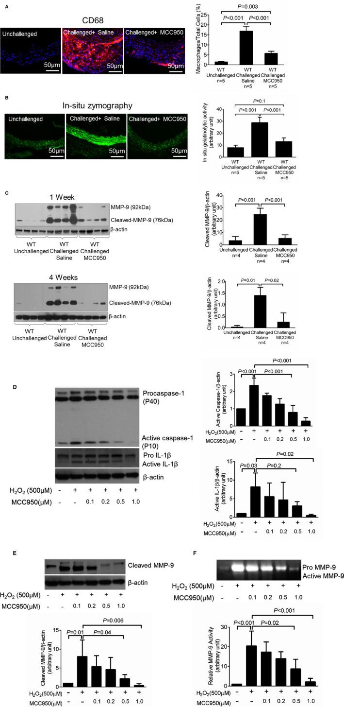 https://cdn.ncbi.nlm.nih.gov/pmc/blobs/b6f4/7428617/4c7923c5f3ba/JAH3-9-e014044-g003.jpg